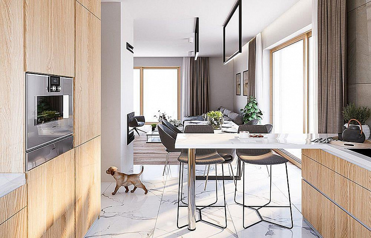 Проект 1-этажного дома "Барселона"